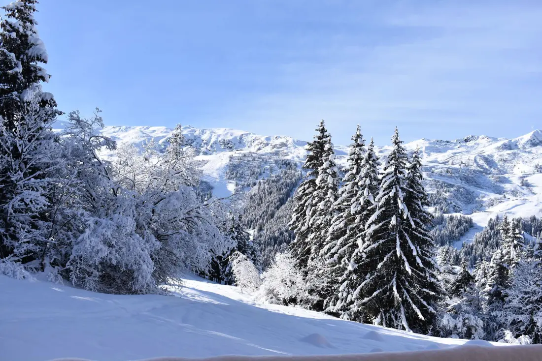 Residence Gelinotte