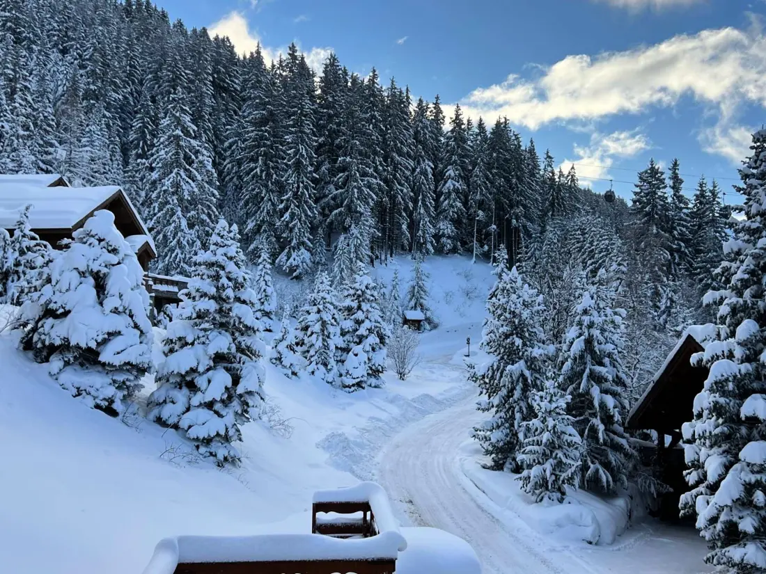 Residence Grand Tetras