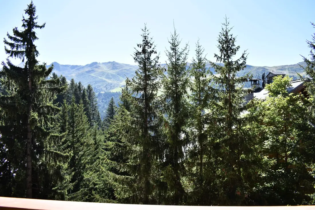Residence Grand Tetras