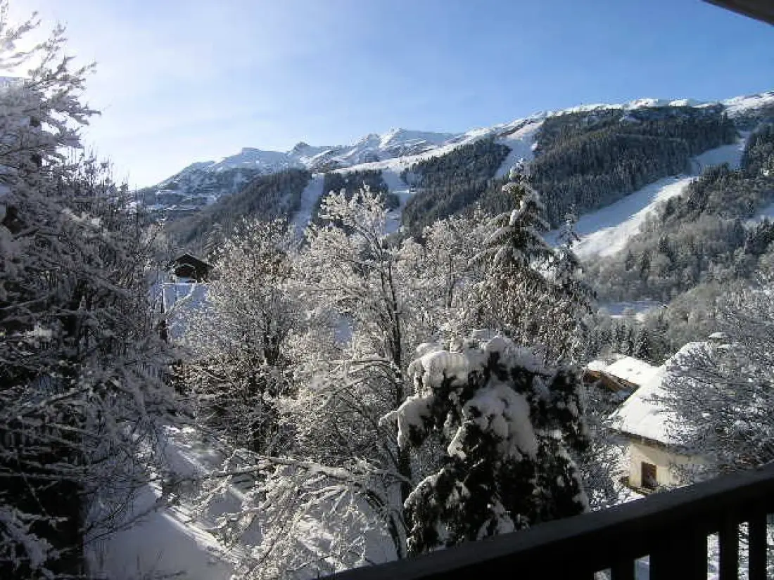 Residence Hauts De Chantemouche