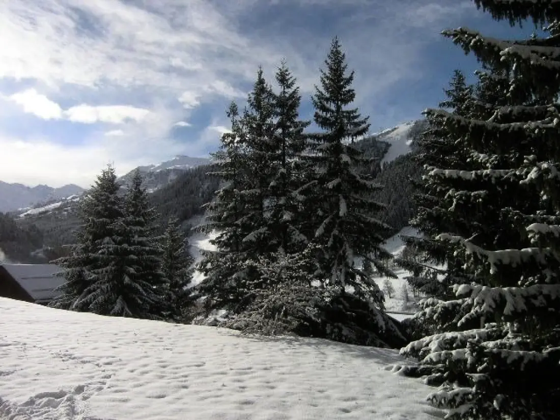 Residence Vallon