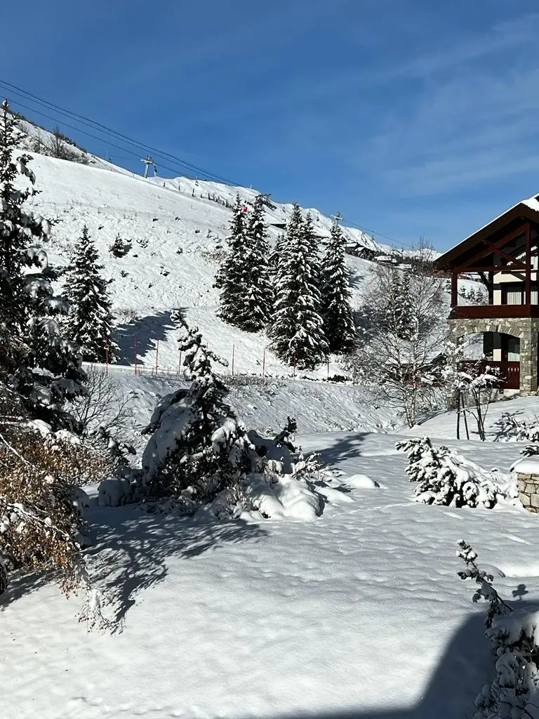 Residence Alpages De Mottaret, C