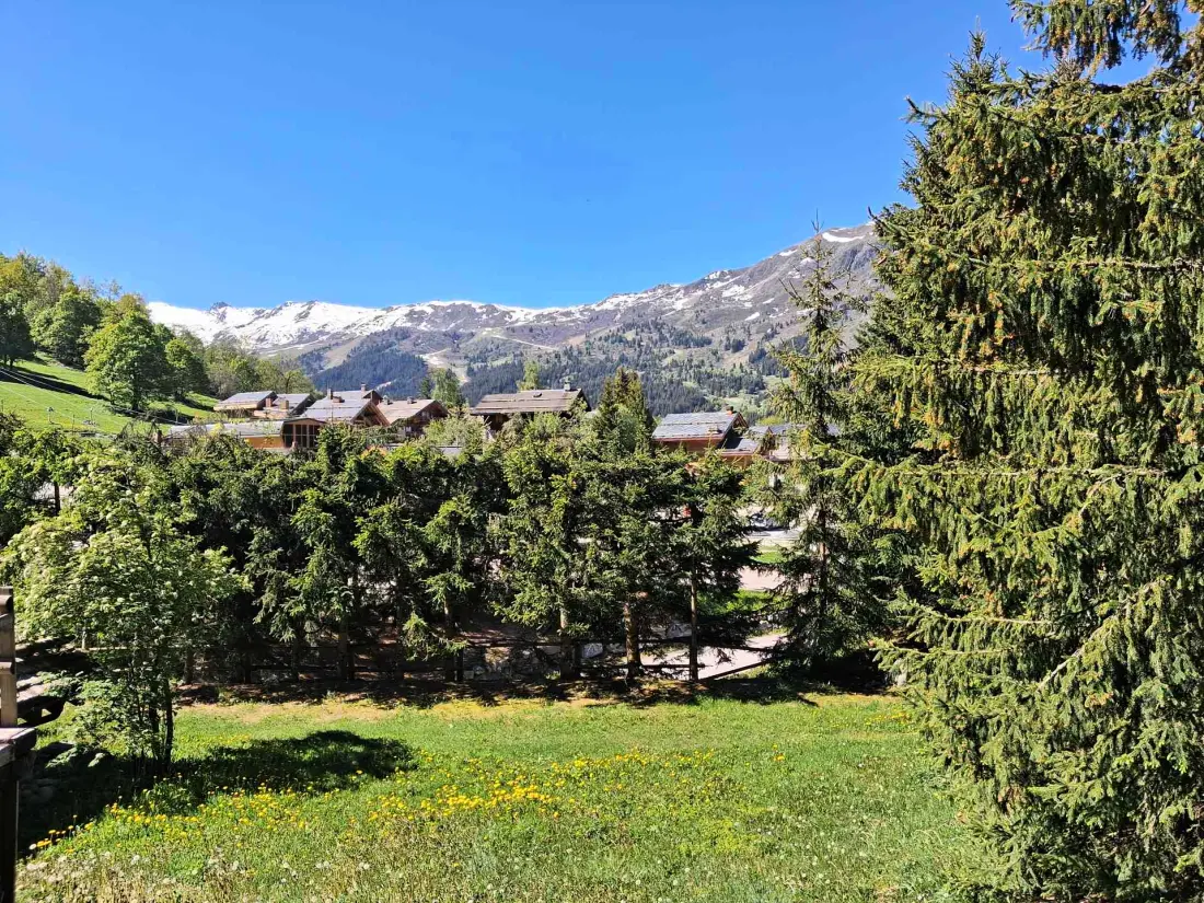 Residence Farms De Meribel Bat A
