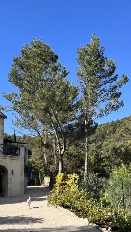 Családi ház A Luberon szívében medencével és panorámás kilátásokkal