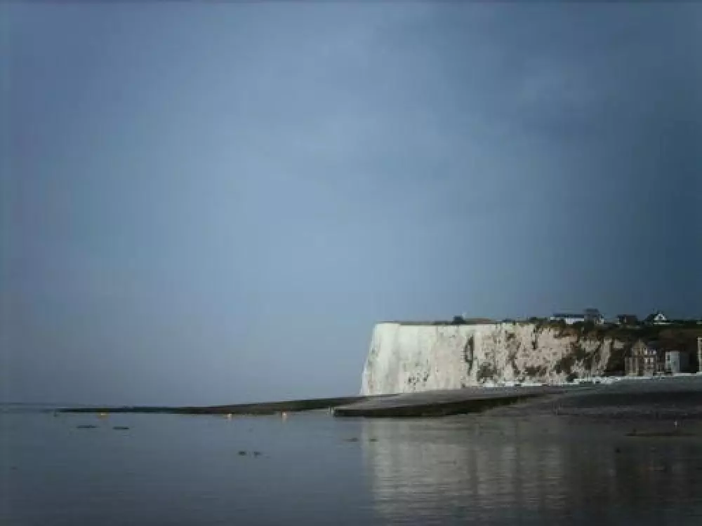 Virág Le Domaine du Rompval 3 Csillagok★★★