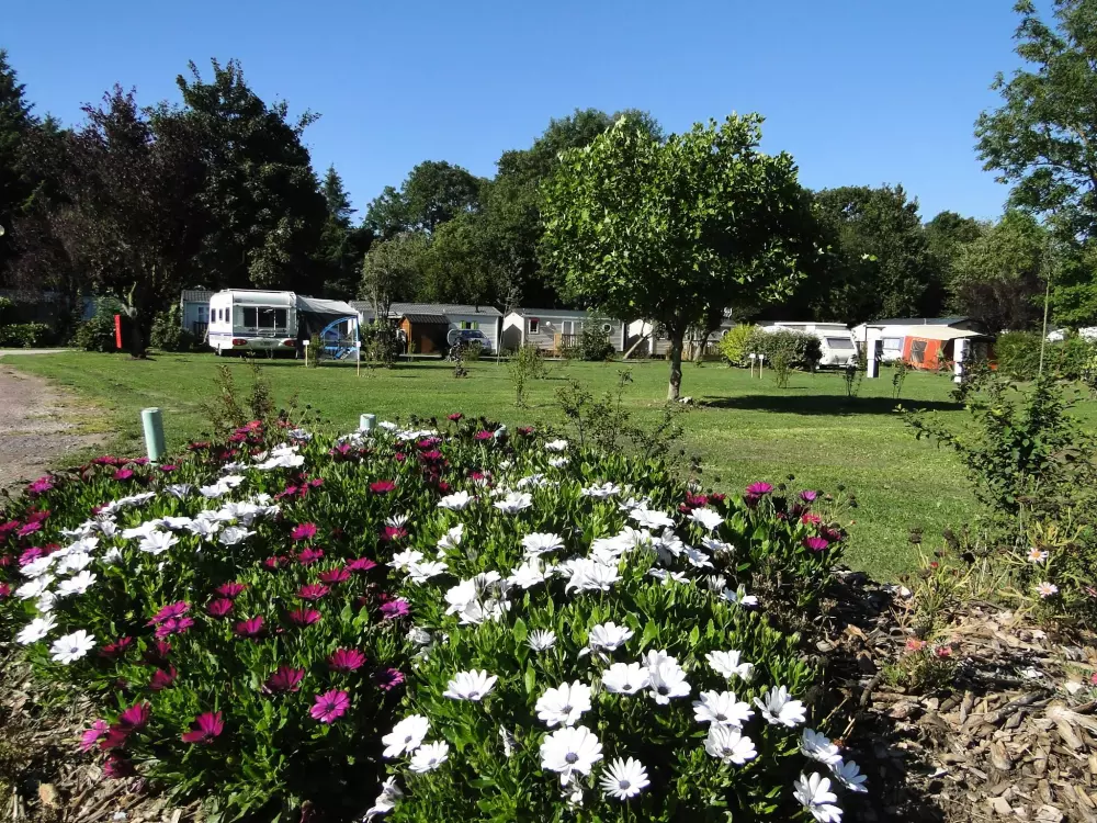 Virág Le Domaine du Rompval 3 Csillagok★★★