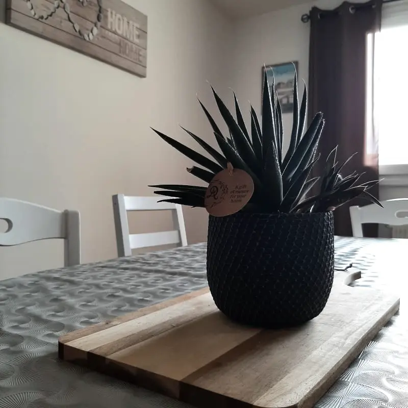 Residence Md 52 - Elegáns ház terasz