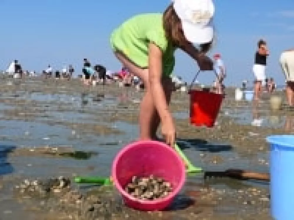 Camping Les Peupliers 5 Sterren★★★★★