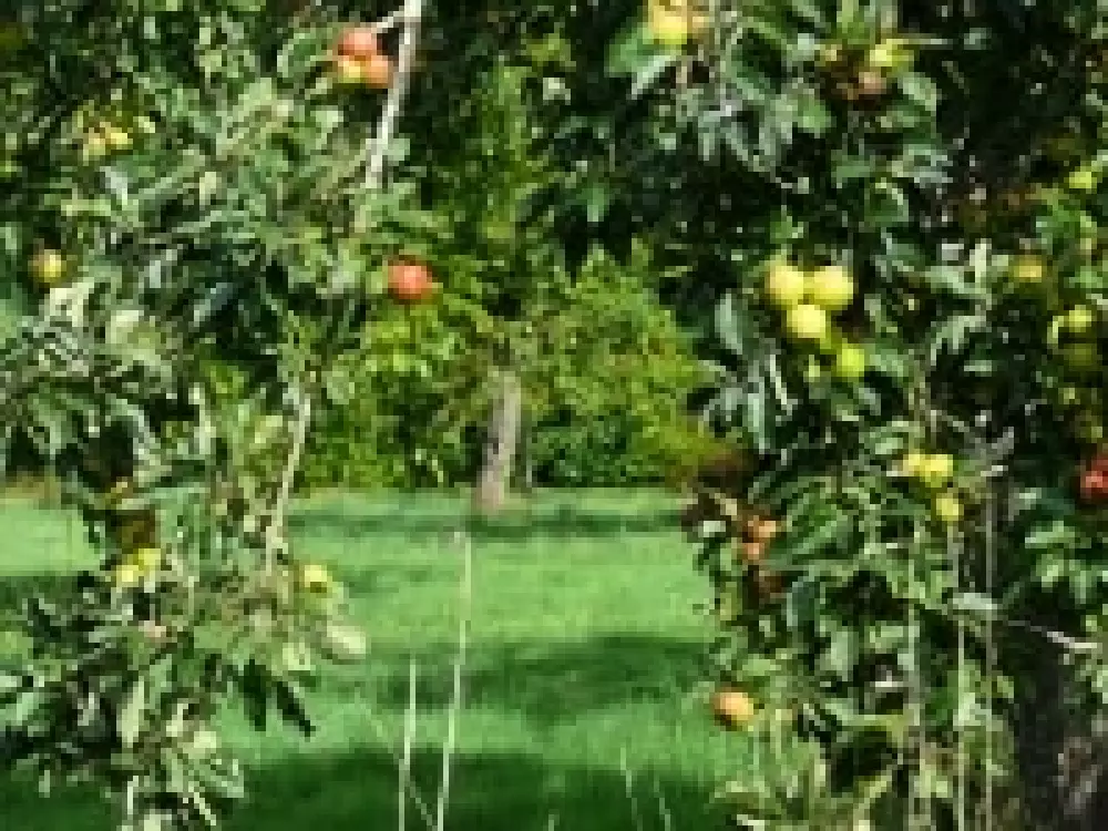 Camping Les Peupliers 5 Sterren★★★★★