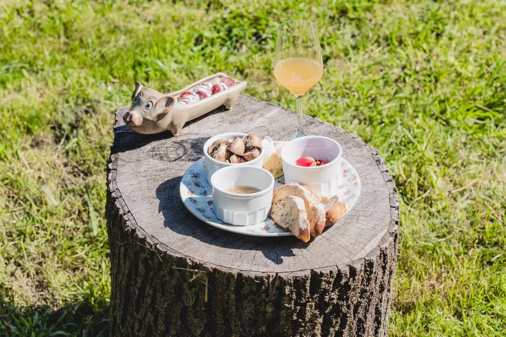 Richecourt - Parcel Tiny House