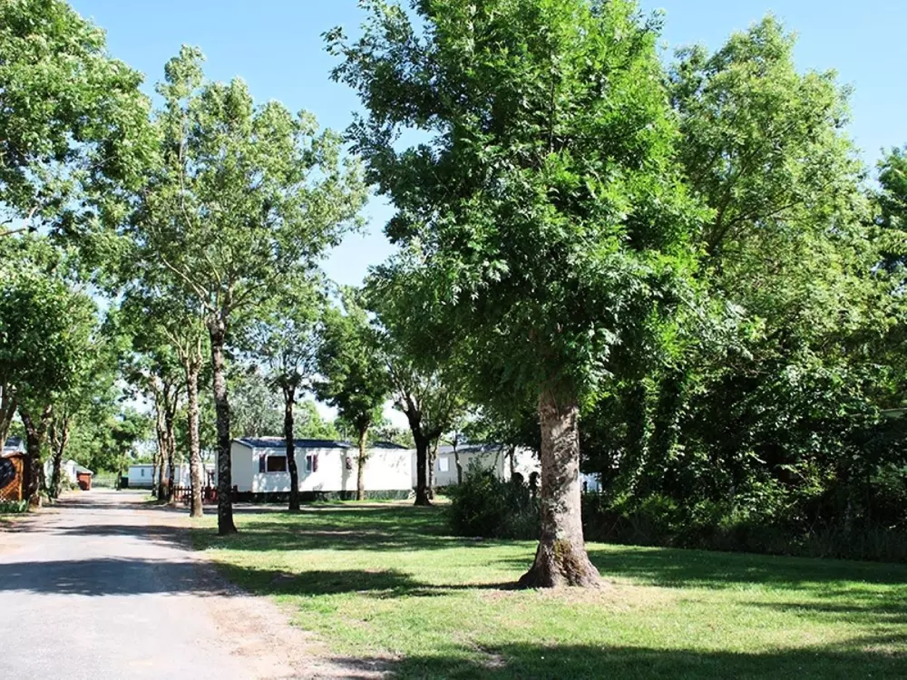 Camping Soleil Levant 4 Estrellas★★★★