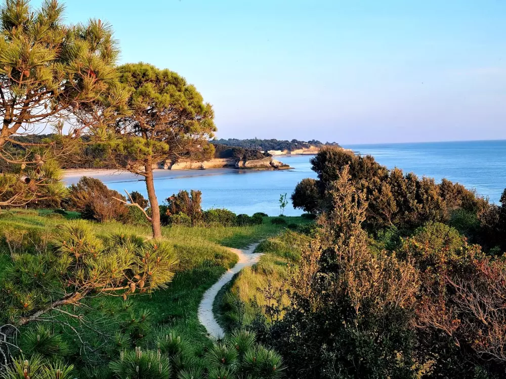 Campingpladser i Les Loges