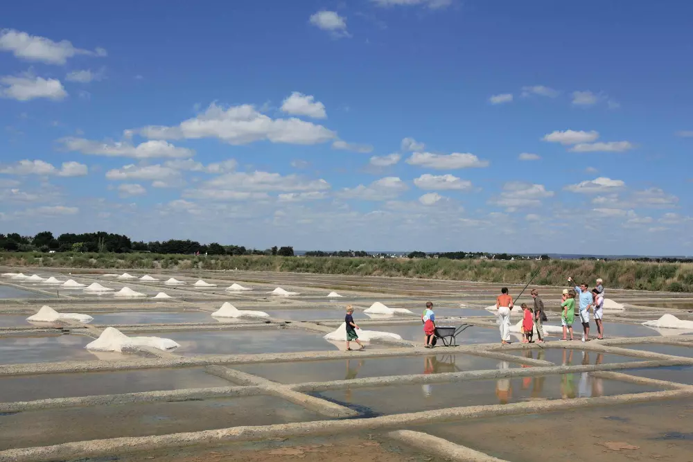 Ośrodek wypoczynkowy Le Château de Tréabert 3 Gwiazdy★★★
