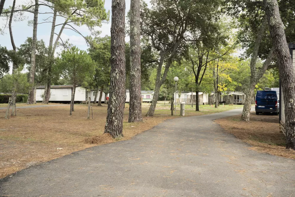 Alpha Camping Holding - Camping Paradis Albret 3 Stars★★★