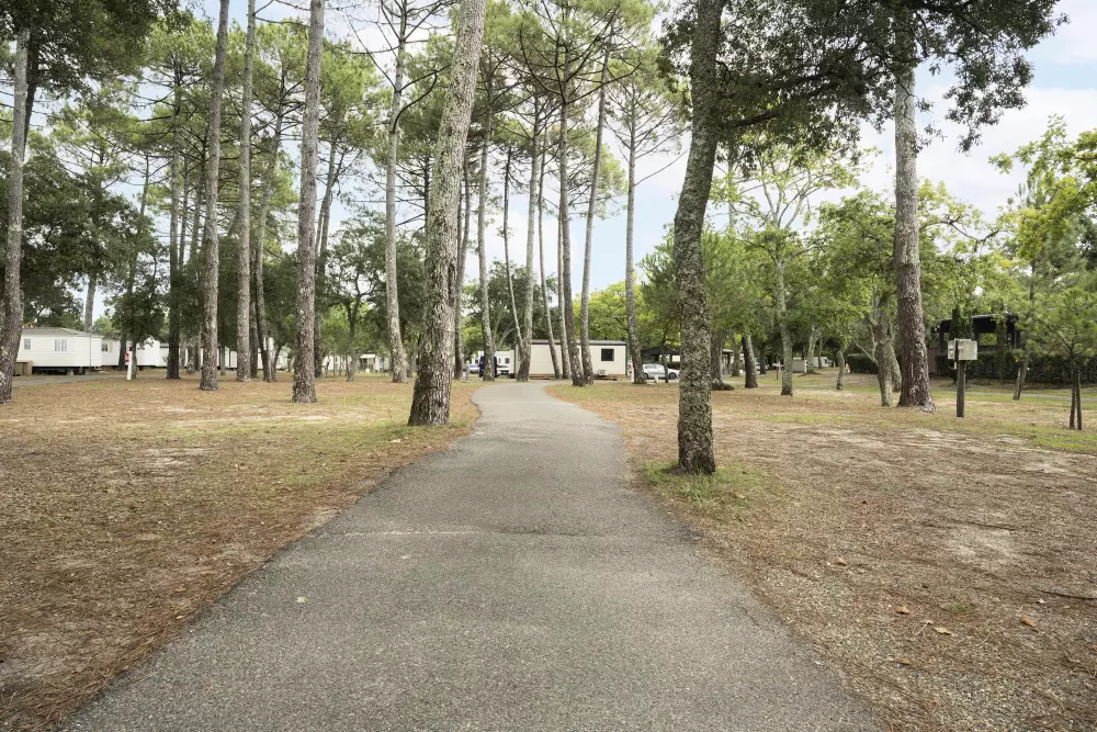 Alpha Camping Holding - Camping Paradis Albret 3 Stars★★★