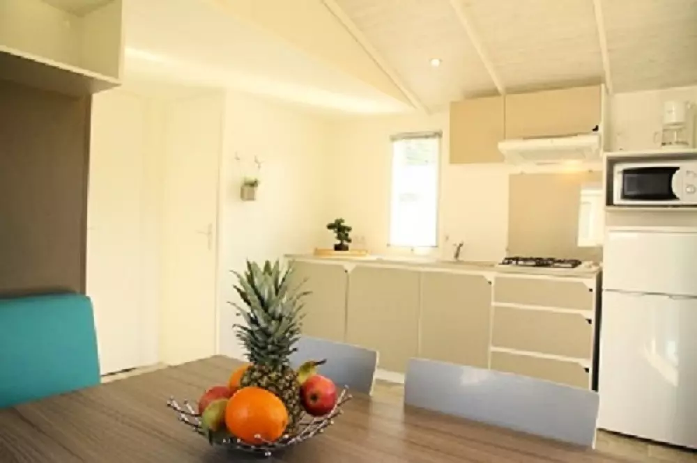 Alpha Camping Holding - Camping Paradis Albret 3 Stars★★★