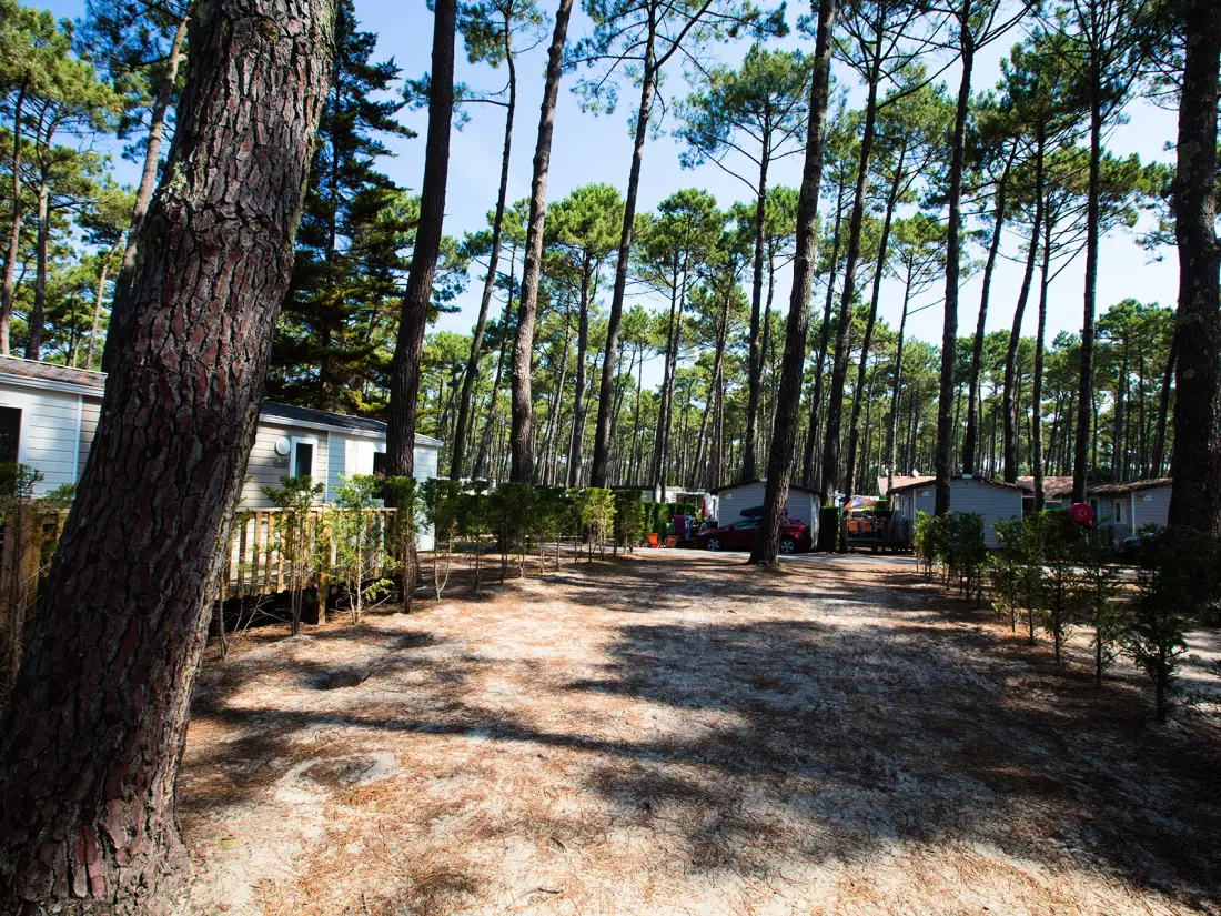 Camping Le Vieux Port 5 Sterren★★★★★