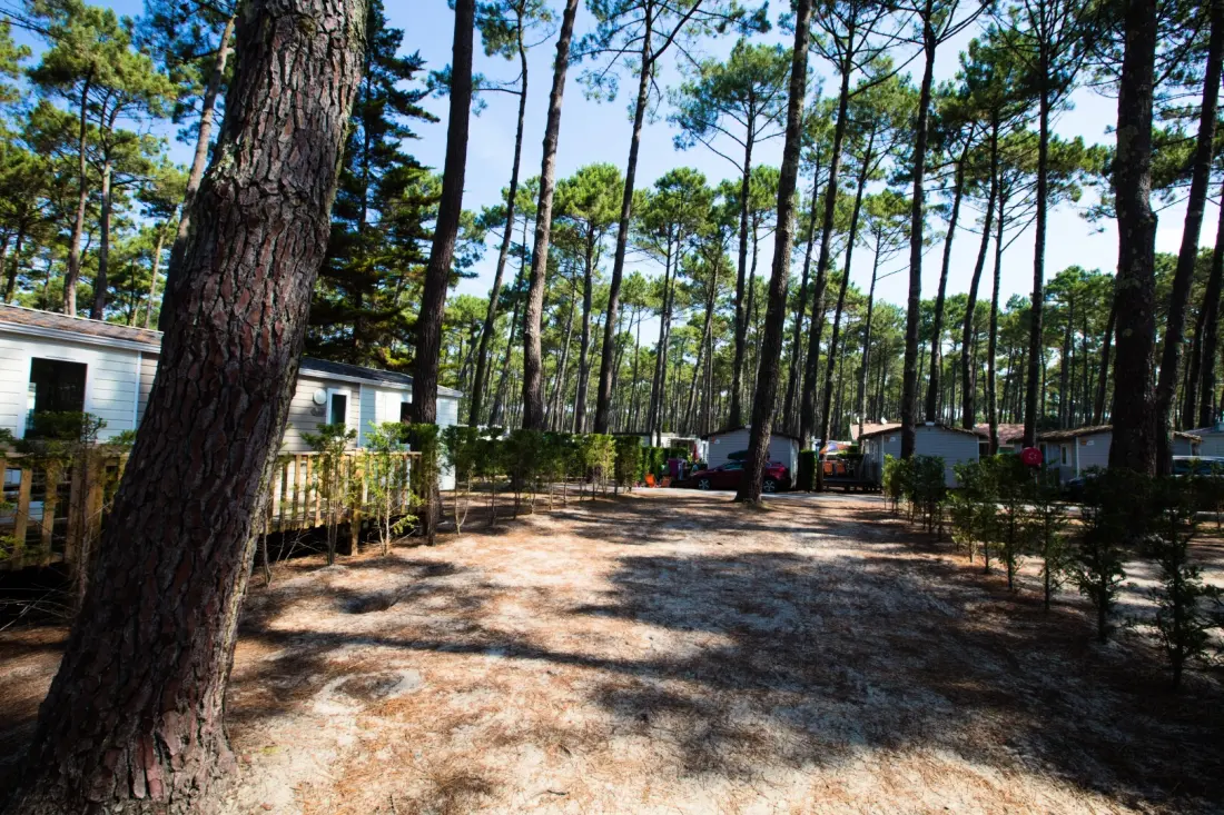 Camping Le Vieux Port 5 Sterren★★★★★