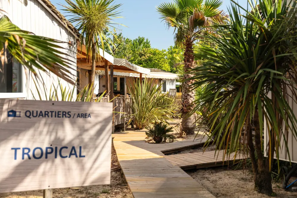 Campsite Lou Pignada5 Stars★★★★★