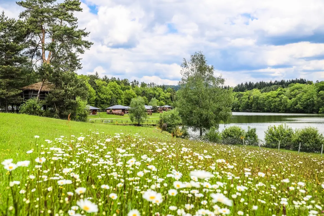 Rezydencja Vacanceole Le Domaine des Monédières 3 Gwiazdy★★★