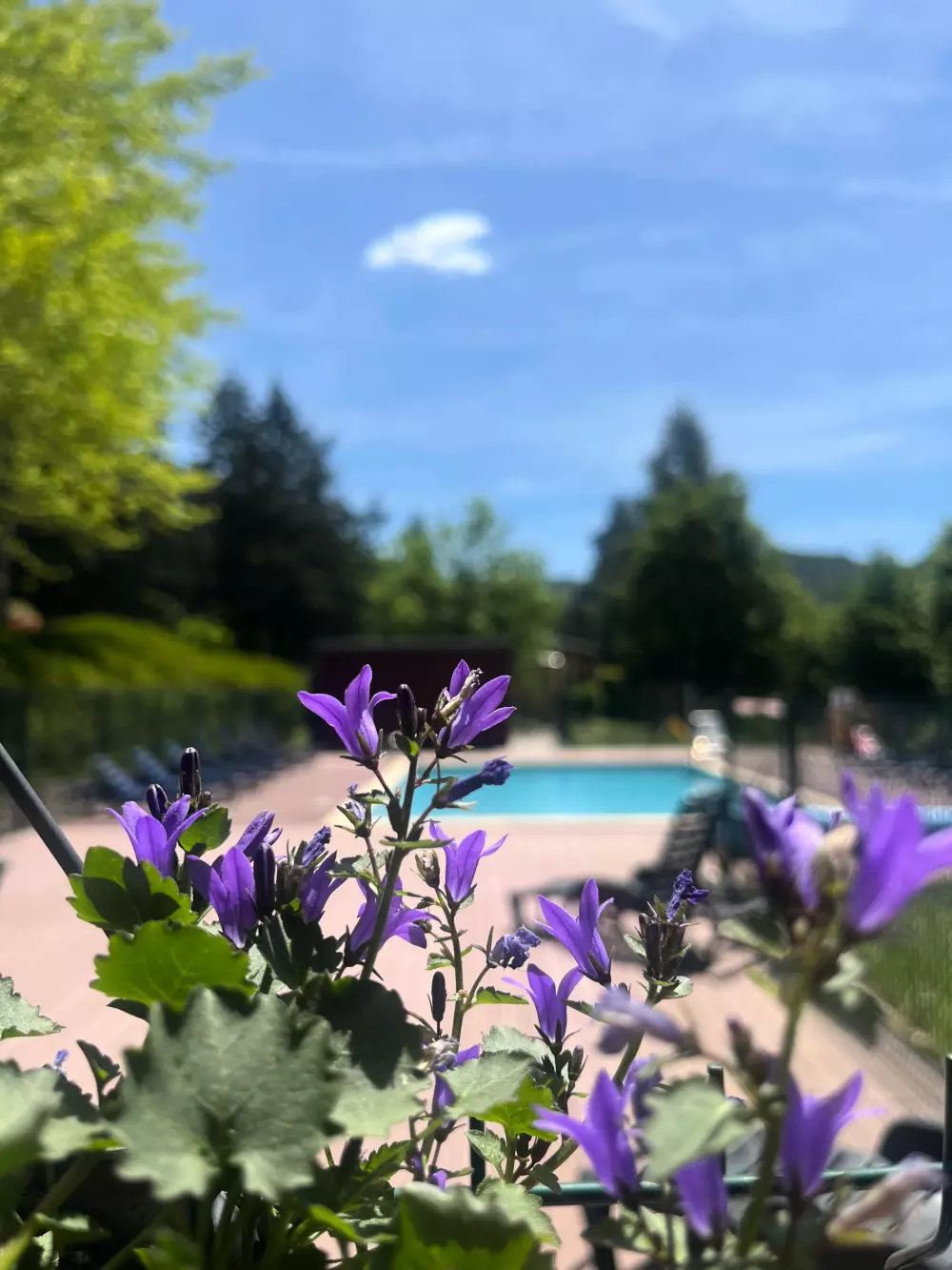 Domain Aigoual Cevennes 3 Csillagok★★★