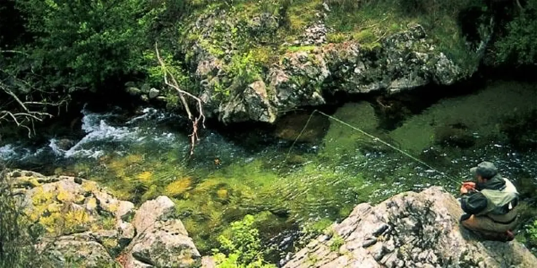 Domæne Aigoual Cevennes