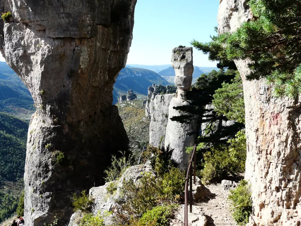 Domain Aigoual Cevennes 3 Csillagok★★★