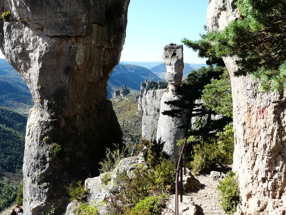 Domæne Aigoual Cevennes
