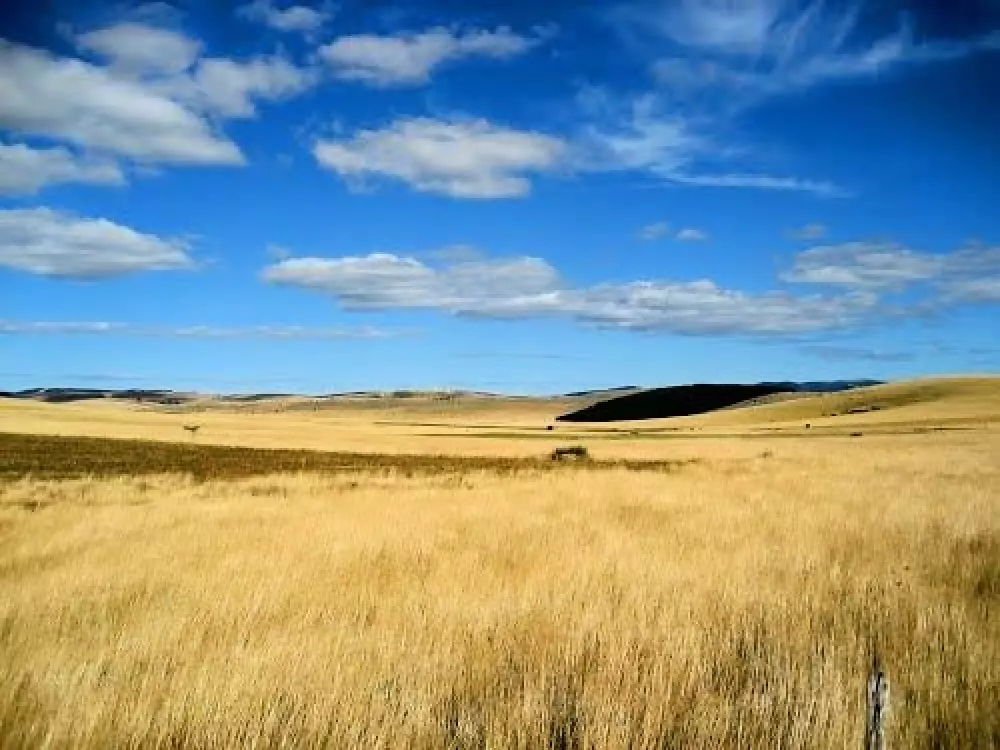 Domain Aigoual Cevennes 3 Csillagok★★★