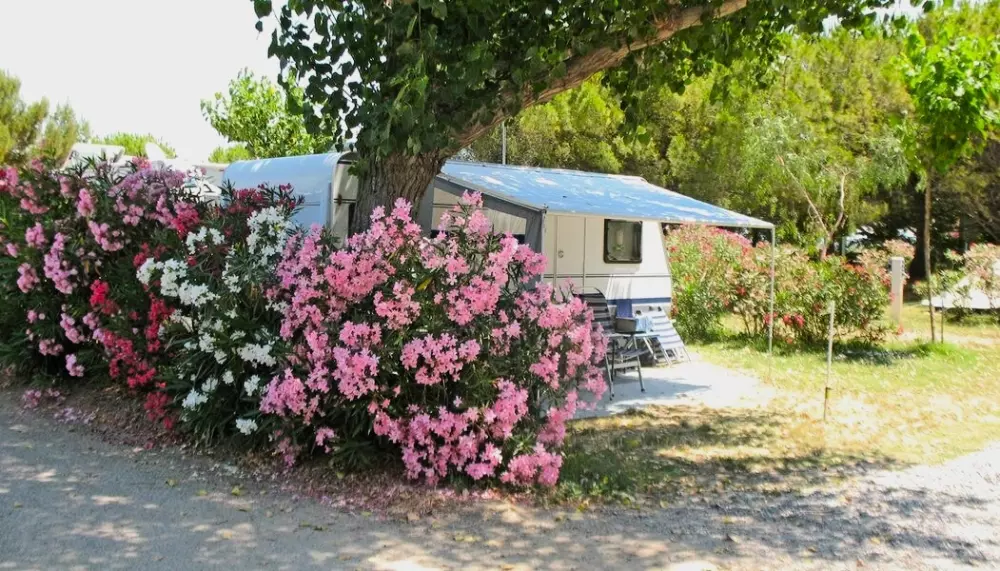 Camping Beau Rivage 4 étoiles★★★★