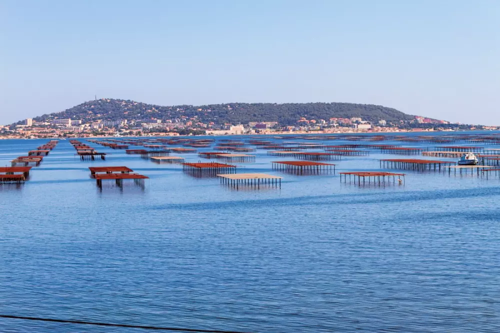 Camping Beau Rivage 4 étoiles★★★★