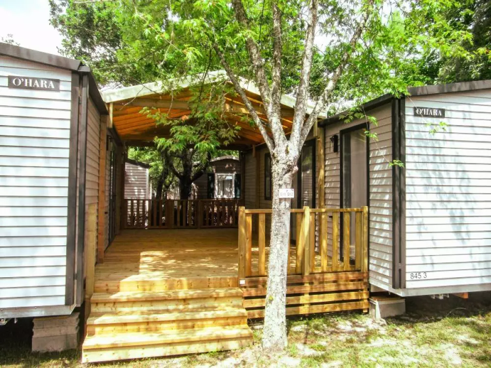 Camping Sen Yan5 Estrellas★★★★★