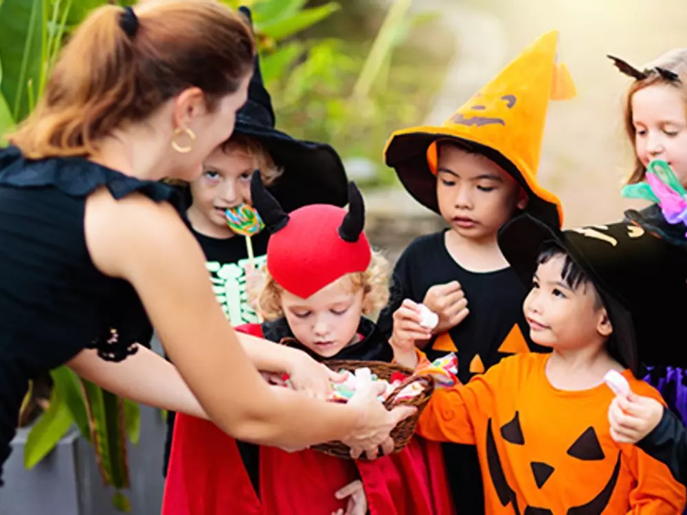 Campingplatz La Berge Fleurie 4 Sterne★★★★