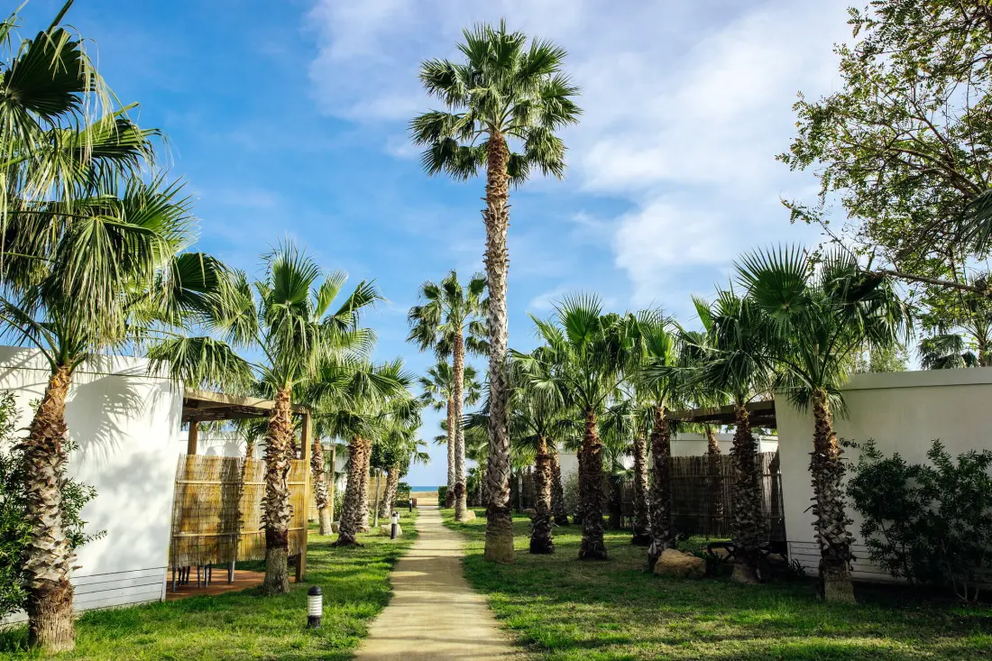 Campsite Alannia Els Prats