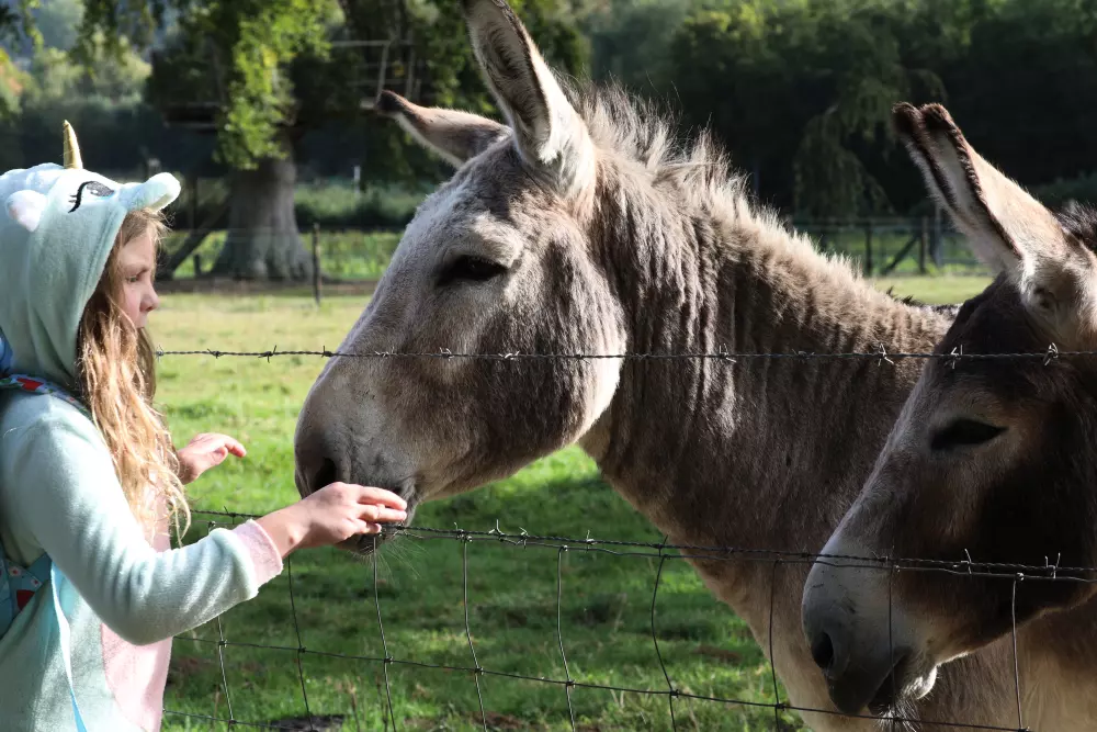 Camping Le Clos Cacheleux4 Sterren★★★★