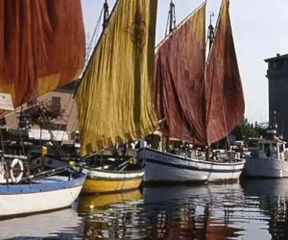 Club del Sole Adriatico Cervia Easy Camping Village 3 Stars★★★