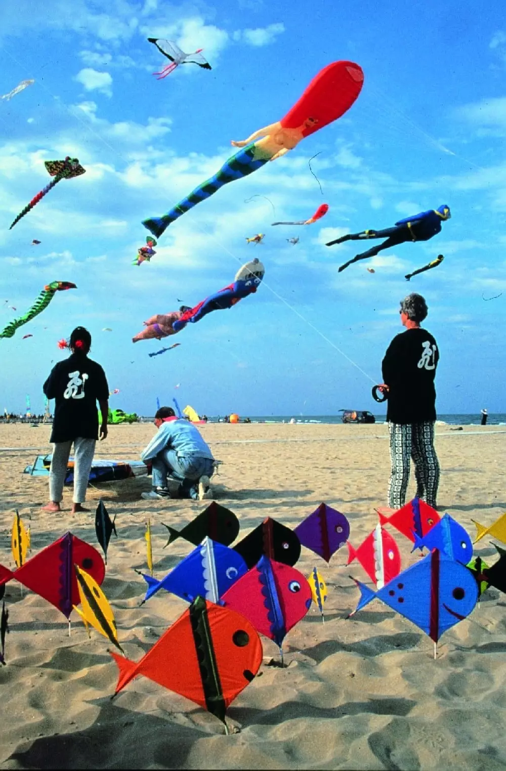 Club del Sole Adriatico Cervia Easy Camping Village 3 Stars★★★