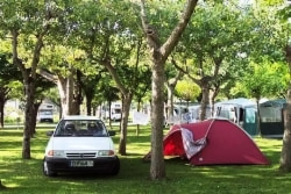 Club del Sole Adriatico Cervia Easy Camping Village 3 Stars★★★