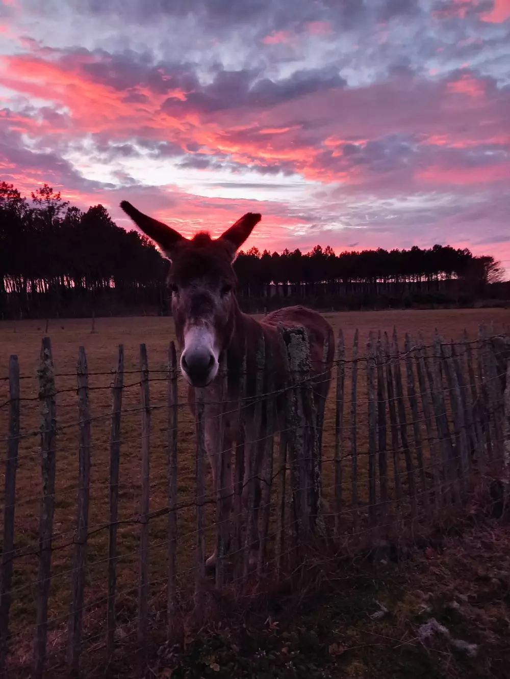 Camping la Maïade 3 étoiles★★★ - Ushuaïa Villages