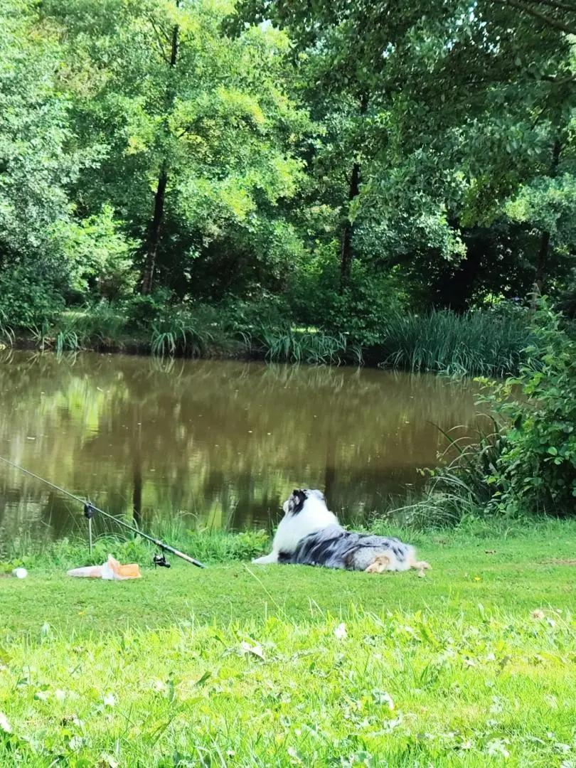 Gîte de France Etang 2 Ohren