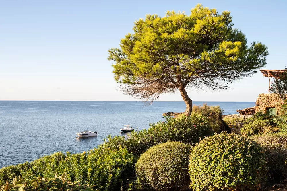 Résidence Pierre & Vacances Menorca Binibeca – TYLKO DLA DOROSŁYCH