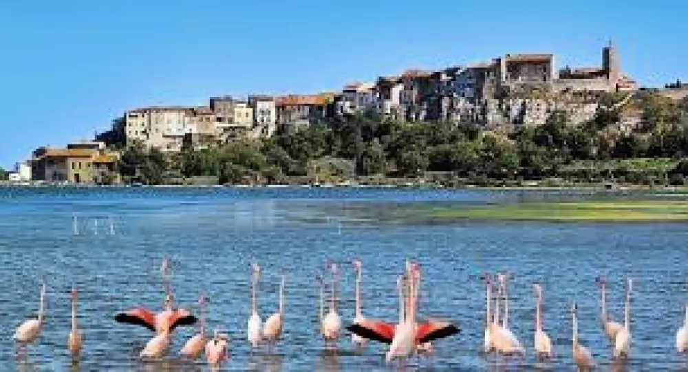 Campsite Le Val de Cesse 4 Stars★★★★