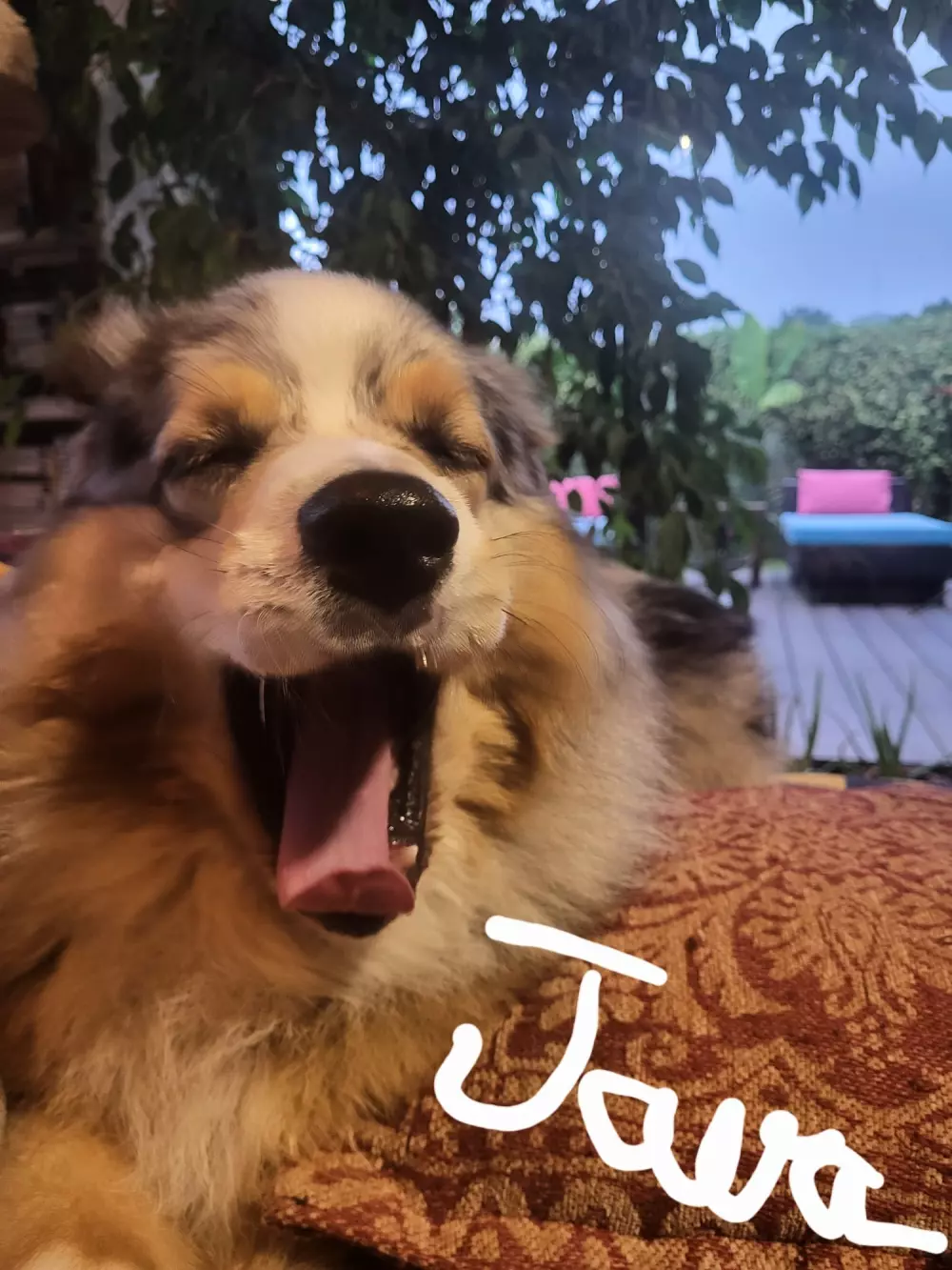 Campsite Le Val de Cesse 4 Stars★★★★