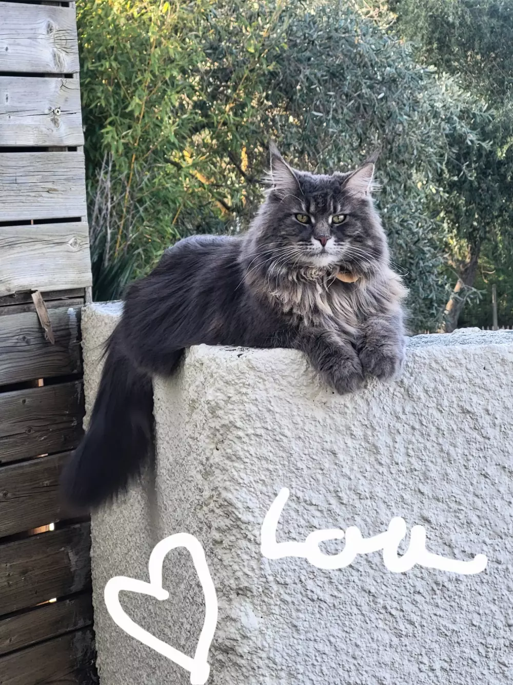 Campsite Le Val de Cesse 4 Stars★★★★