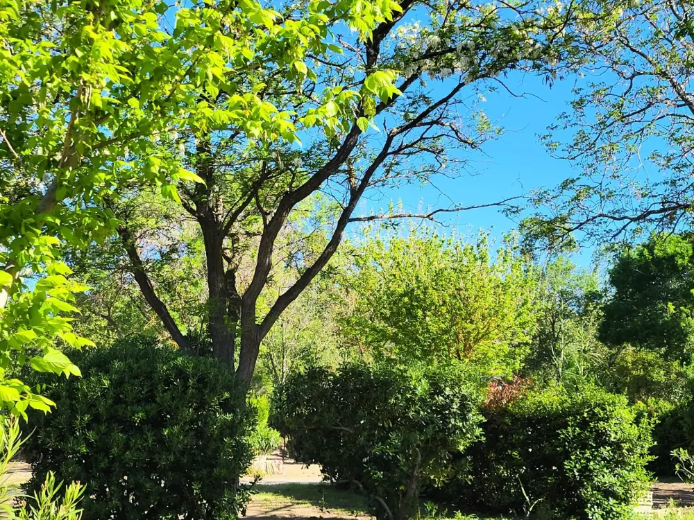 Campsite Le Val de Cesse 4 Stars★★★★