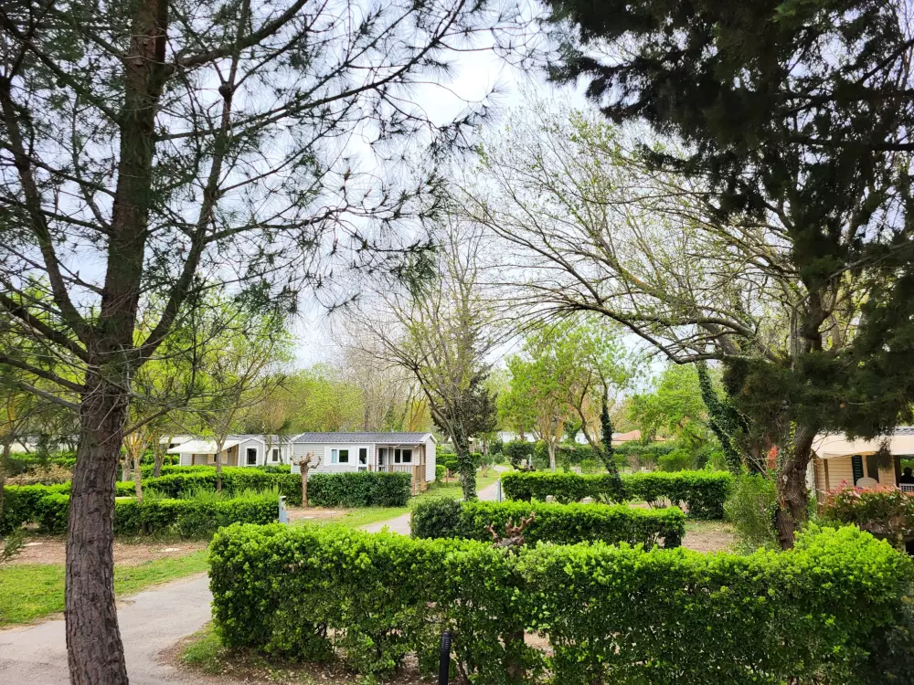 Campsite Le Val de Cesse 4 Stars★★★★