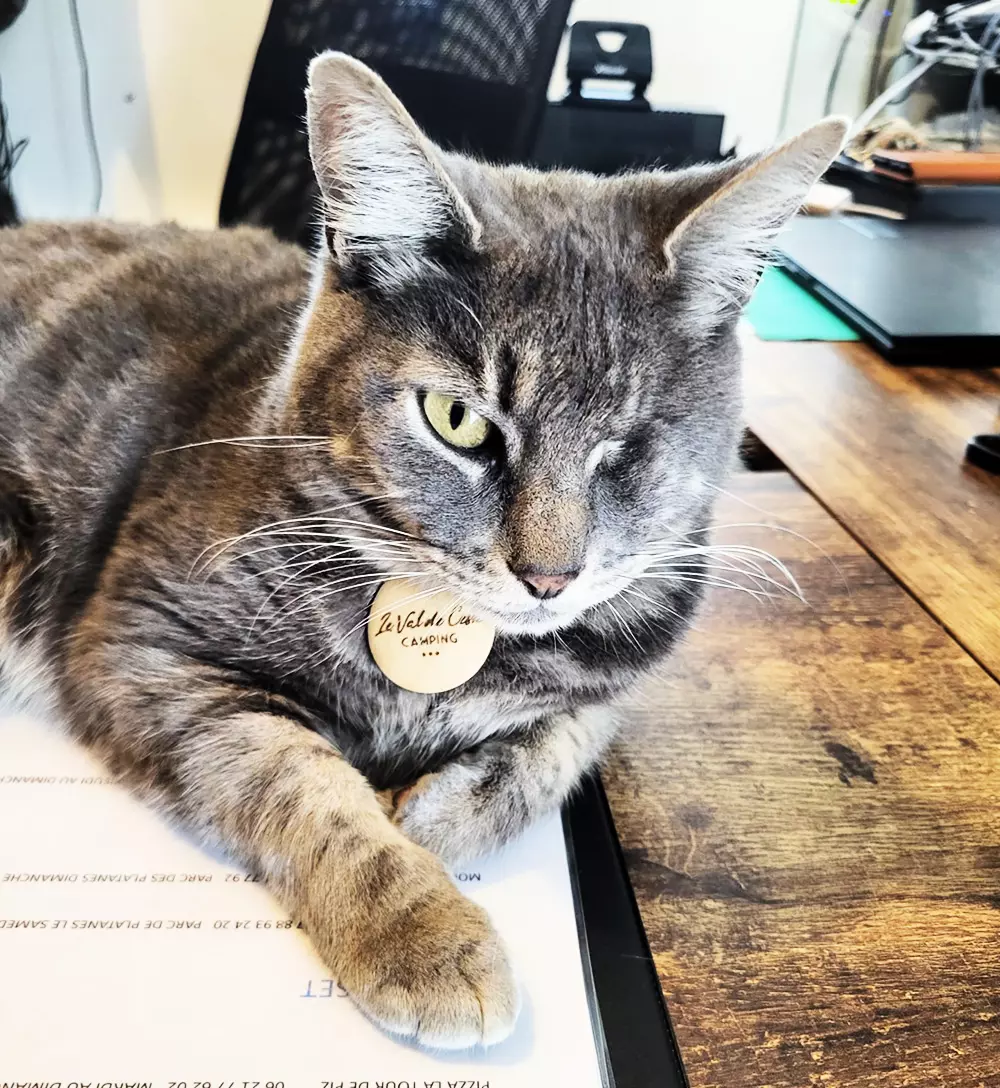 Campsite Le Val de Cesse 4 Stars★★★★