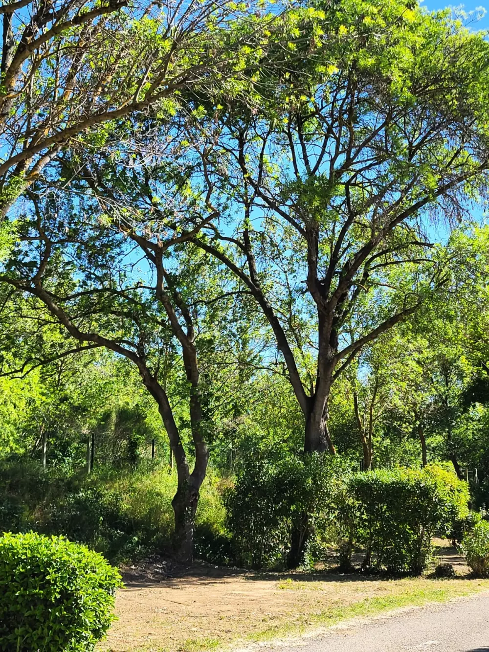 Campsite Le Val de Cesse 4 Stars★★★★