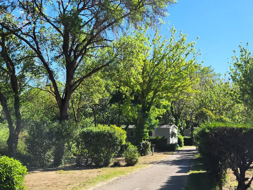 Campsite Le Val de Cesse 4 Stars★★★★