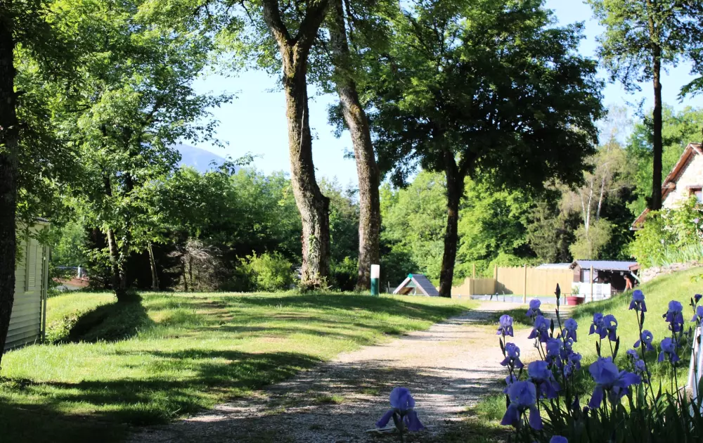 Camping Le Balcon De Chartreuse 3 étoiles★★★